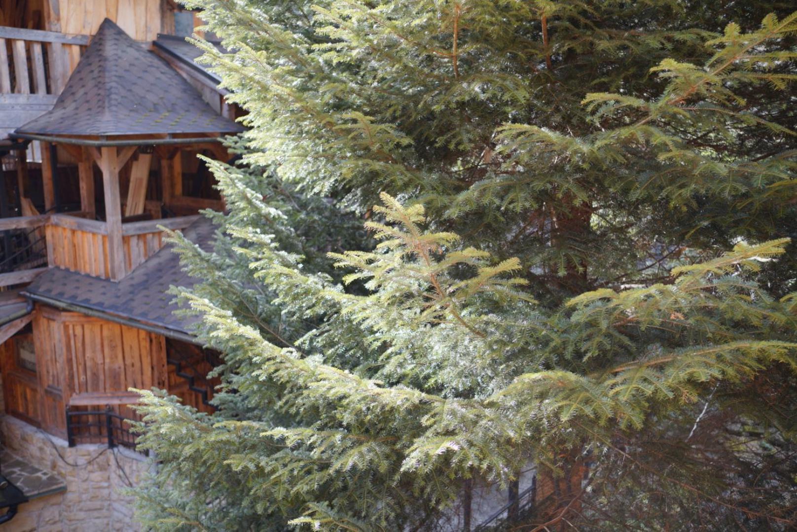 Садиба Nad Prutom Jaremče Esterno foto