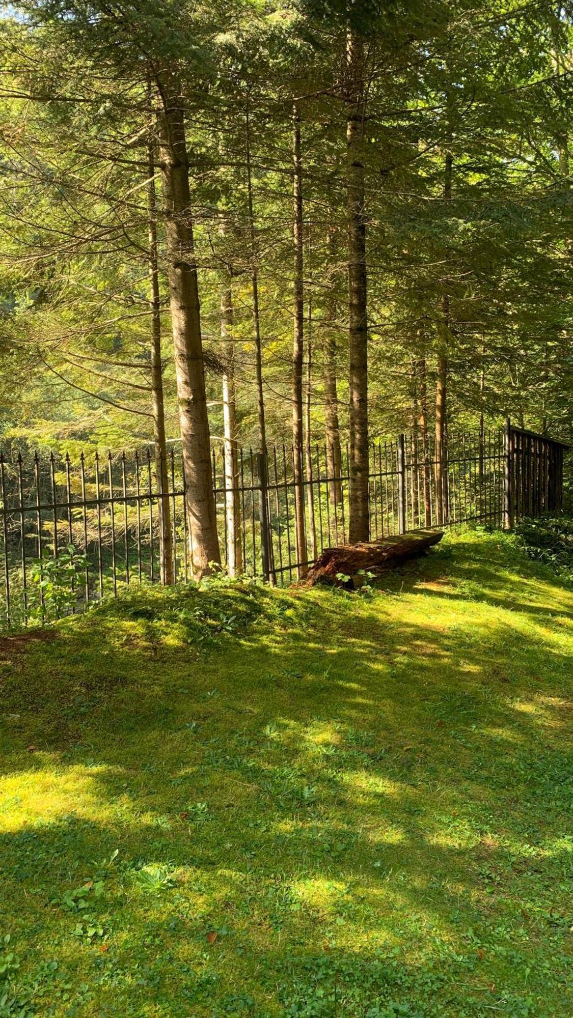Садиба Nad Prutom Jaremče Esterno foto